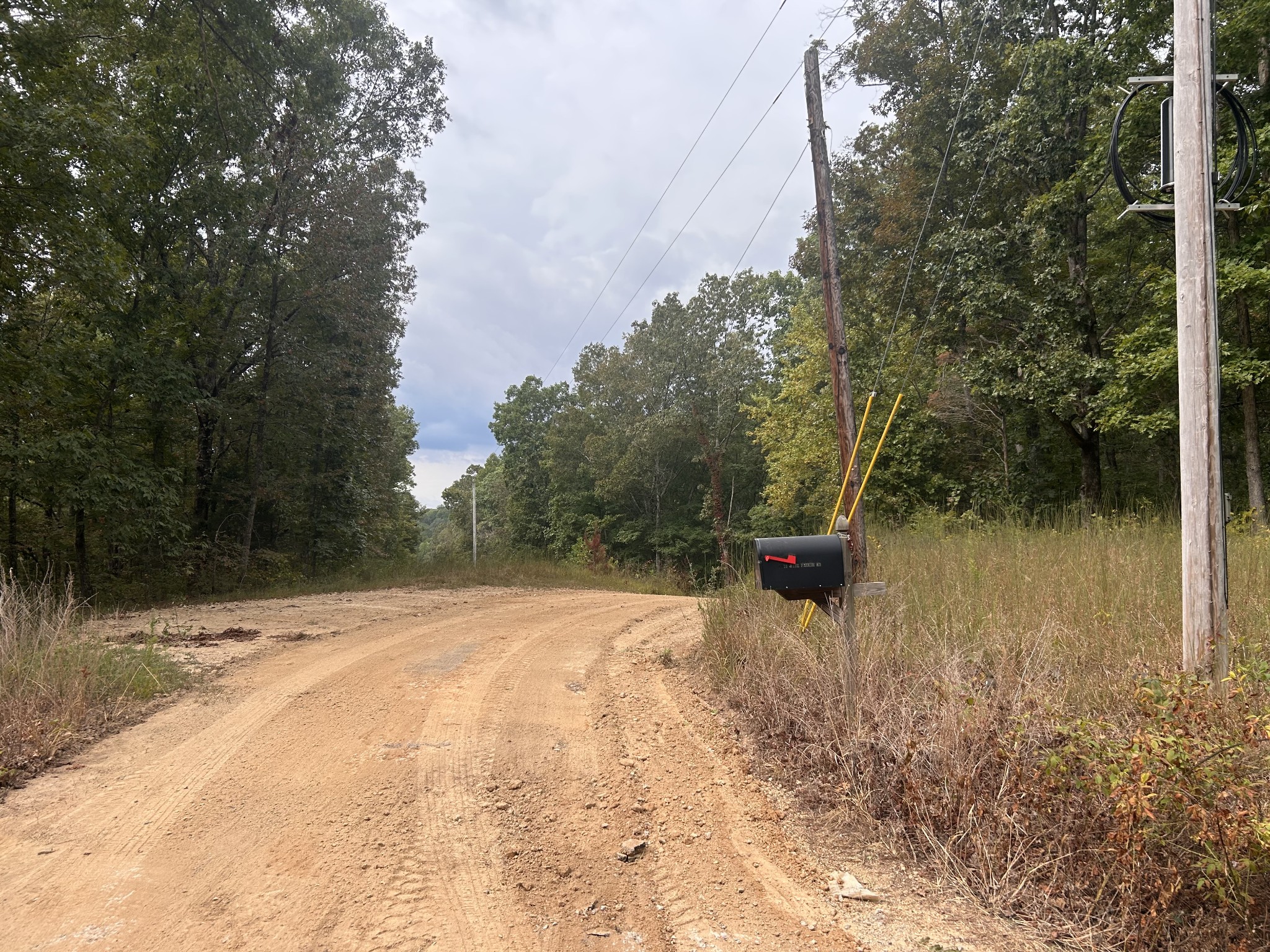 7111 Wink Parker Road Lyles, TN 37098 - Photo 32 of 47