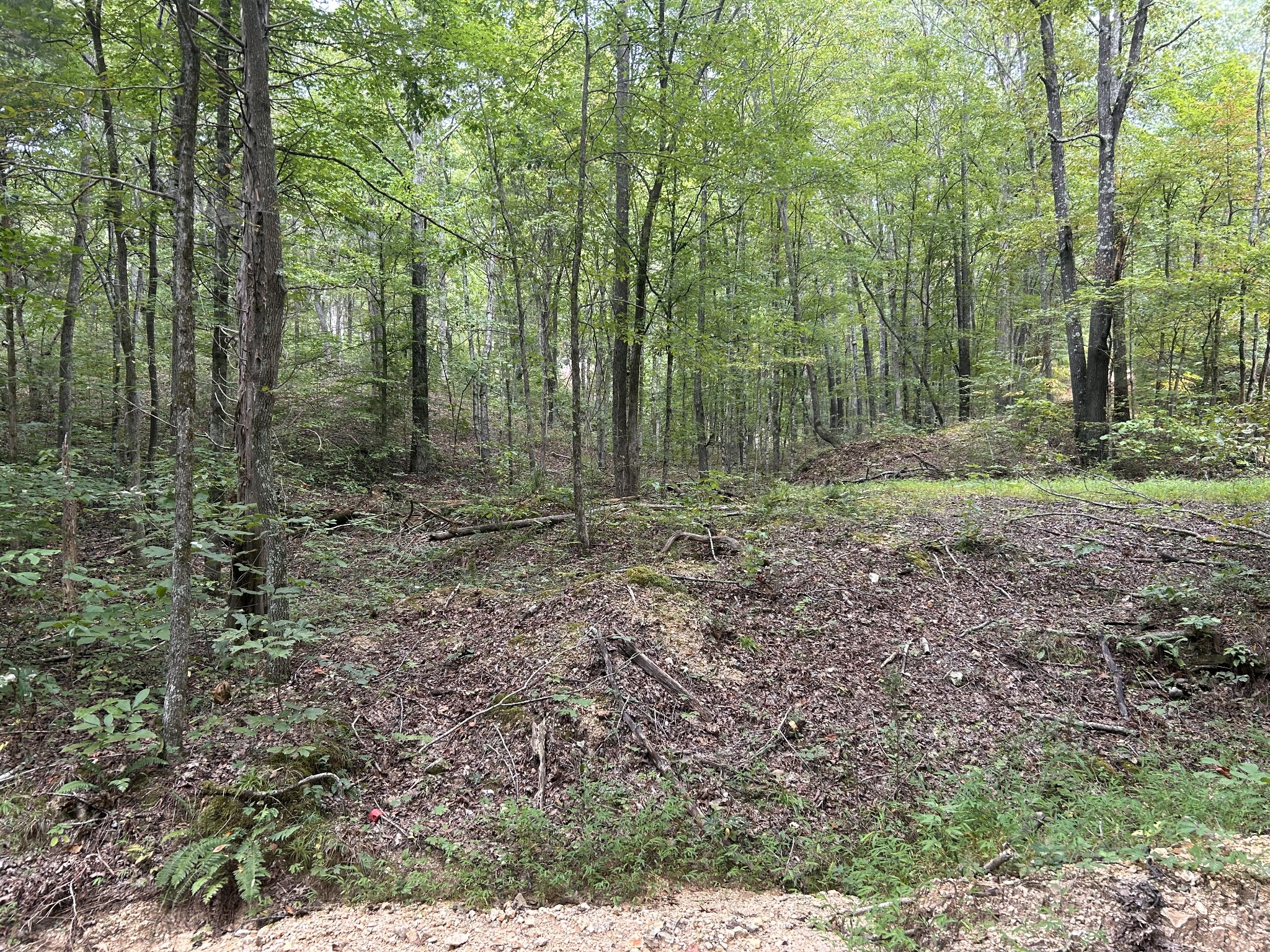 7111 Wink Parker Road Lyles, TN 37098 - Photo 33 of 47