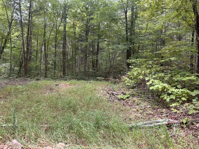 $725,000 | 7111 Wink Parker Road, Lyles, TN 37098