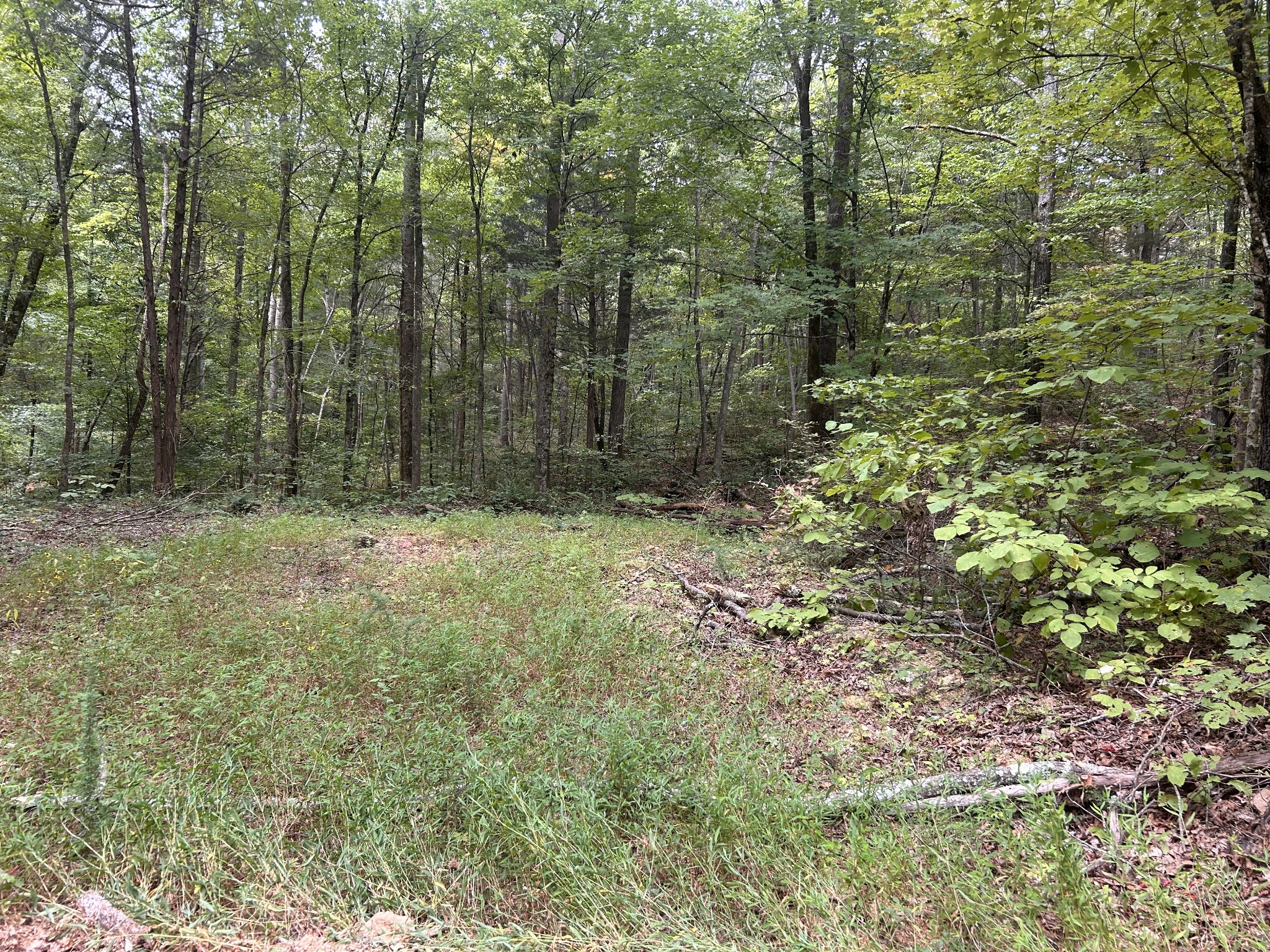 7111 Wink Parker Road Lyles, TN 37098 - Photo 36 of 47