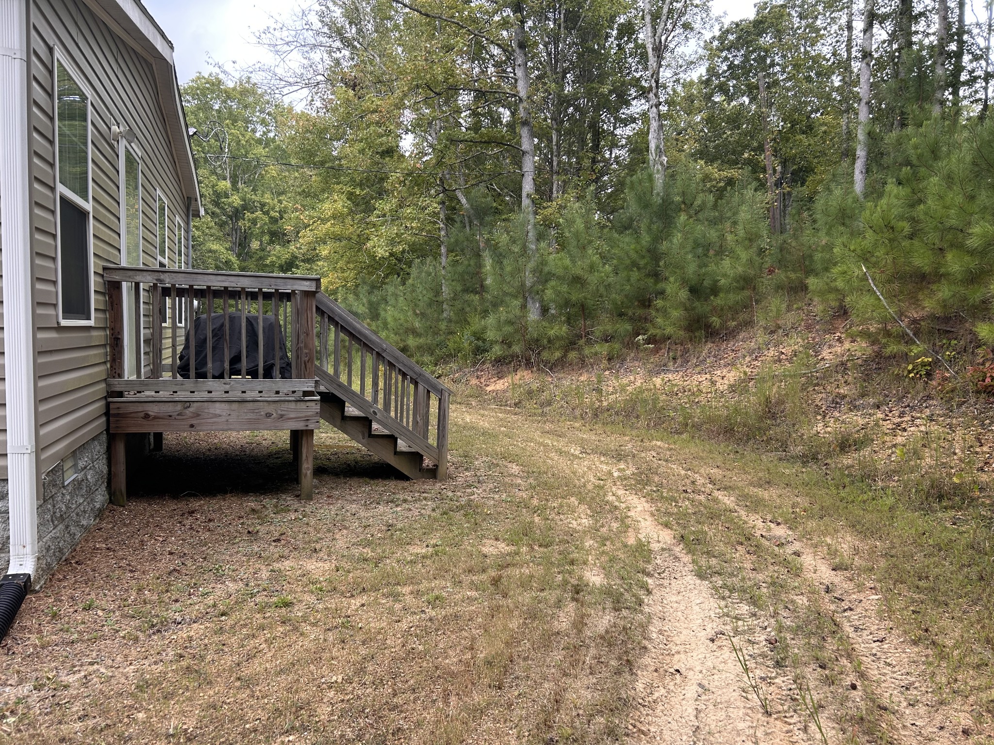 7111 Wink Parker Road Lyles, TN 37098 - Photo 38 of 47