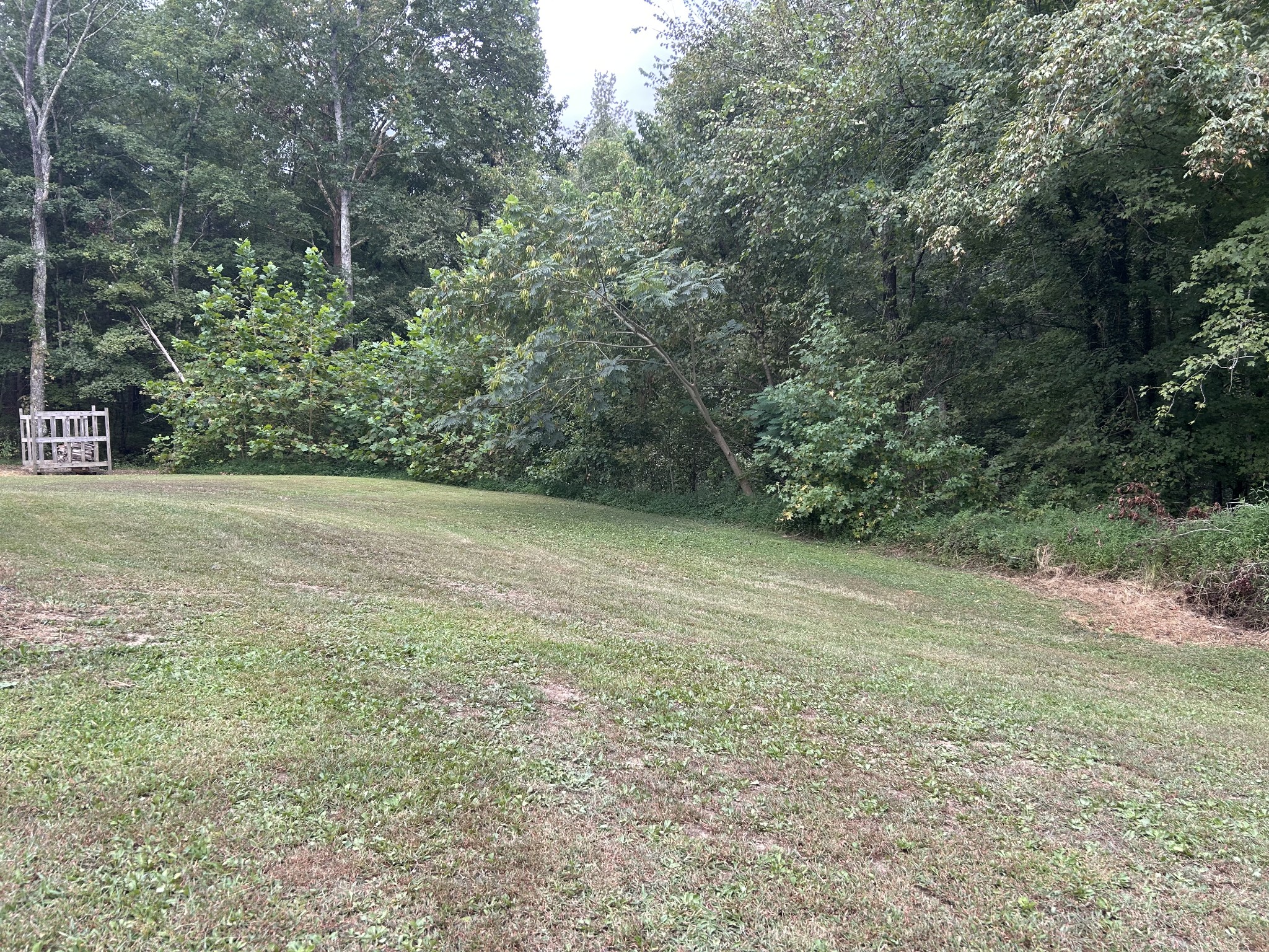 7111 Wink Parker Road Lyles, TN 37098 - Photo 39 of 47