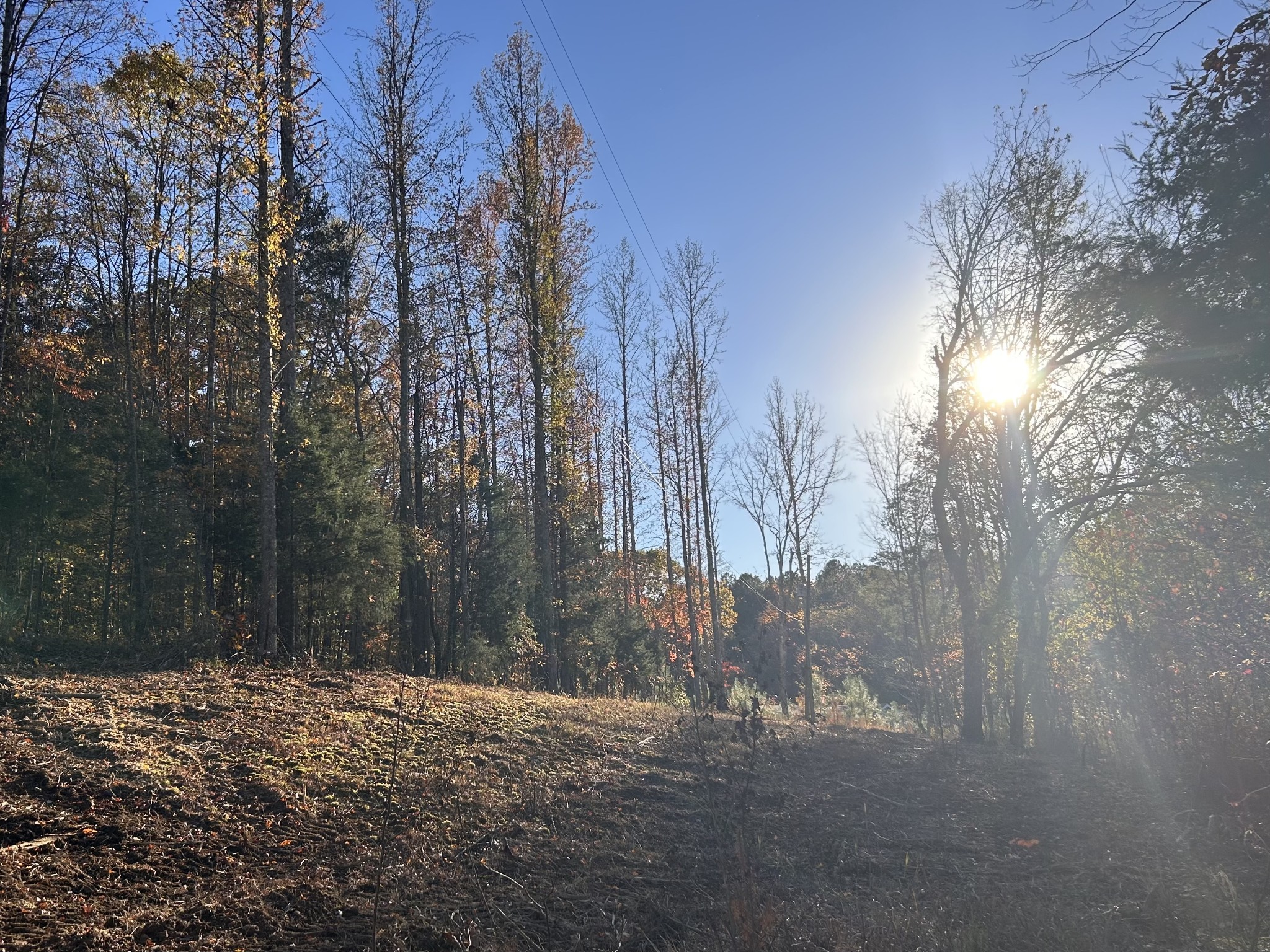 7111 Wink Parker Road Lyles, TN 37098 - Photo 4 of 47