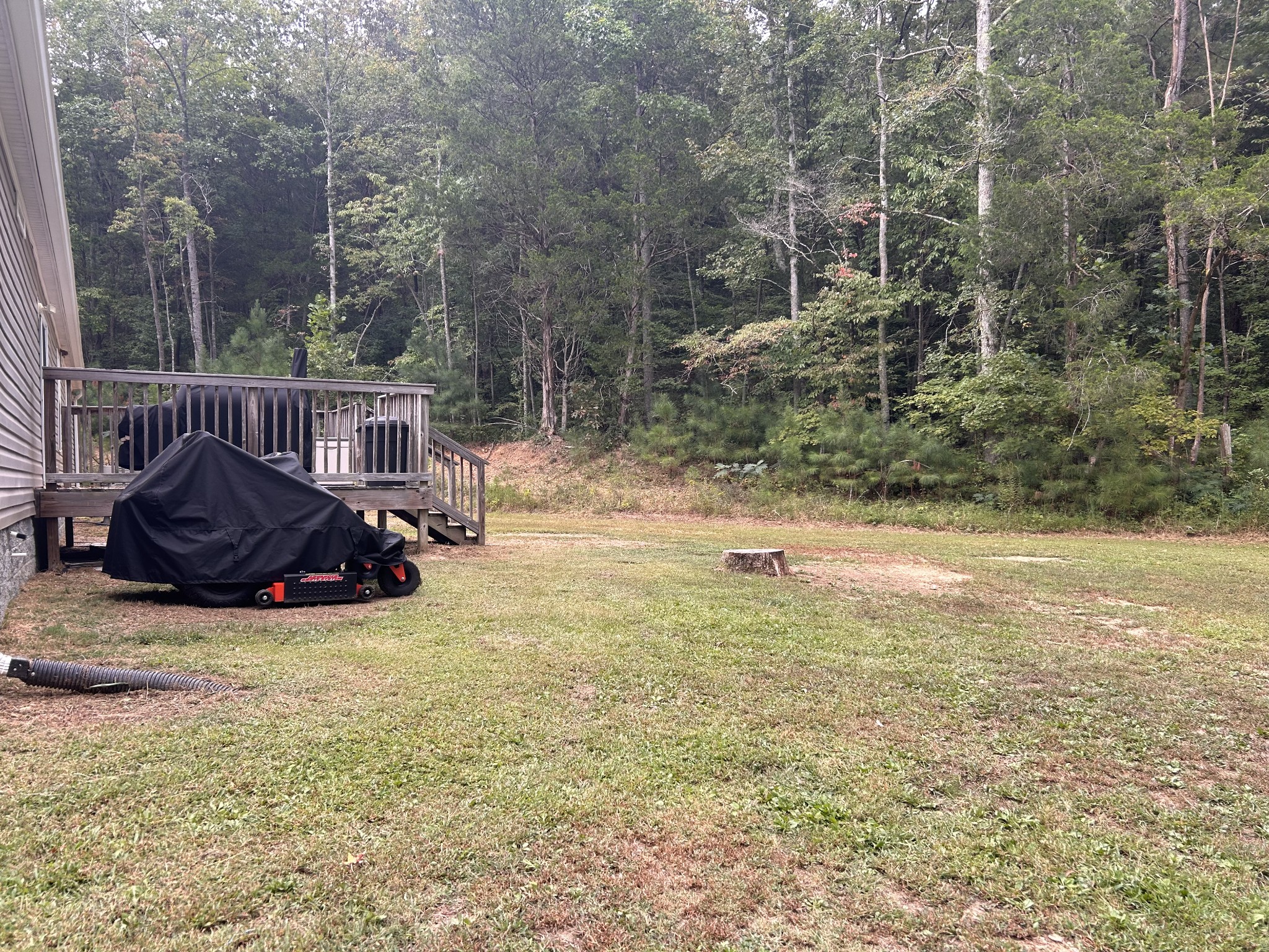 7111 Wink Parker Road Lyles, TN 37098 - Photo 41 of 47