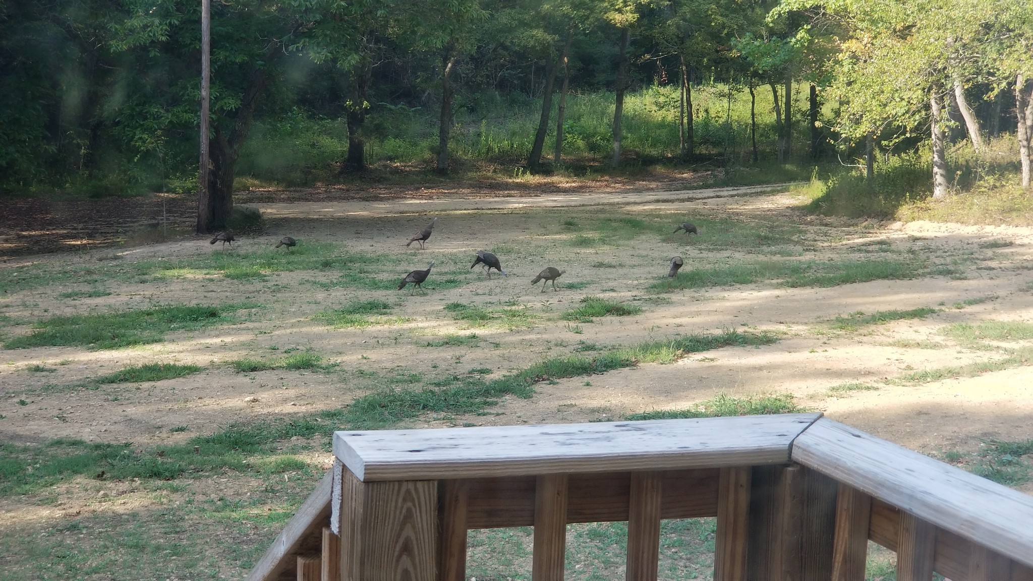 7111 Wink Parker Road Lyles, TN 37098 - Photo 43 of 47