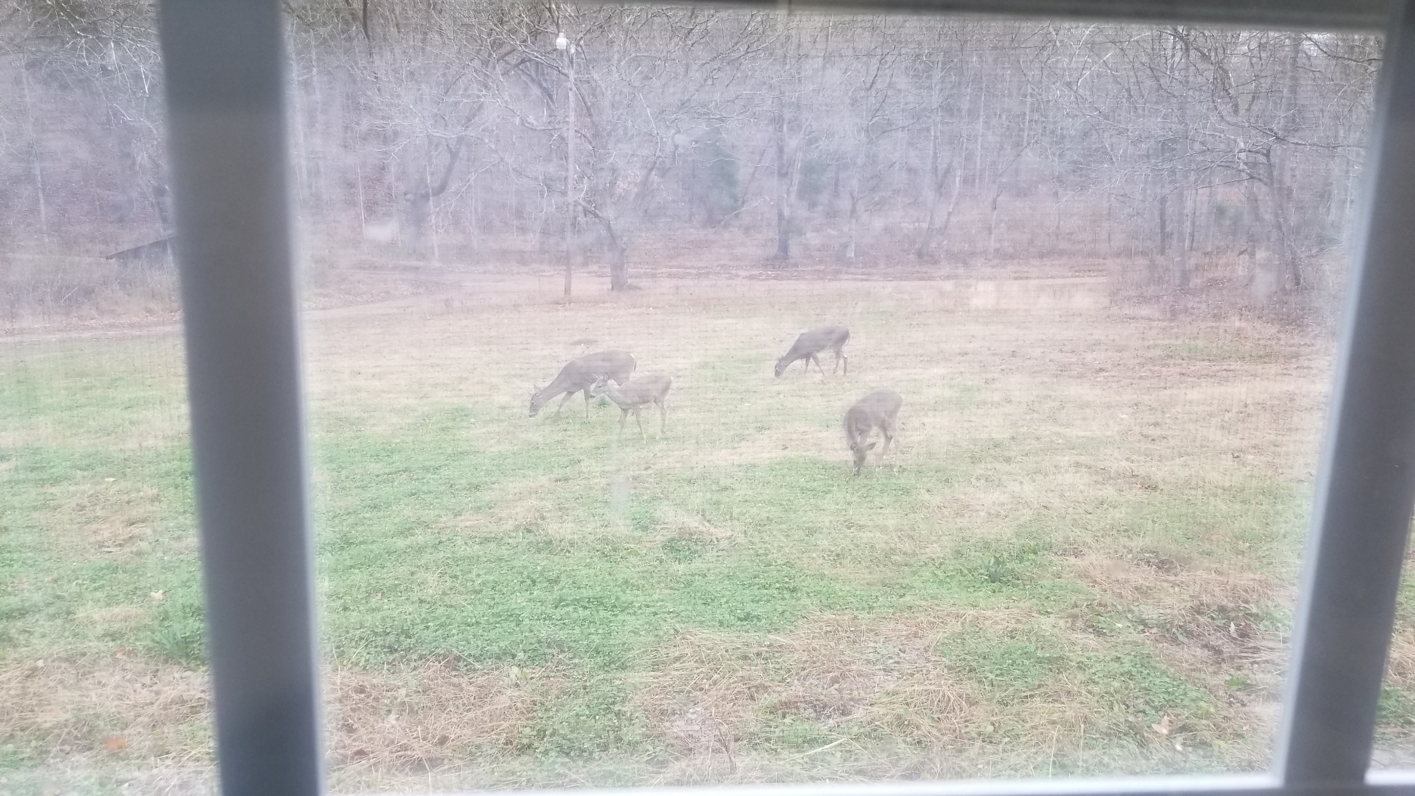 7111 Wink Parker Road Lyles, TN 37098 - Photo 46 of 47