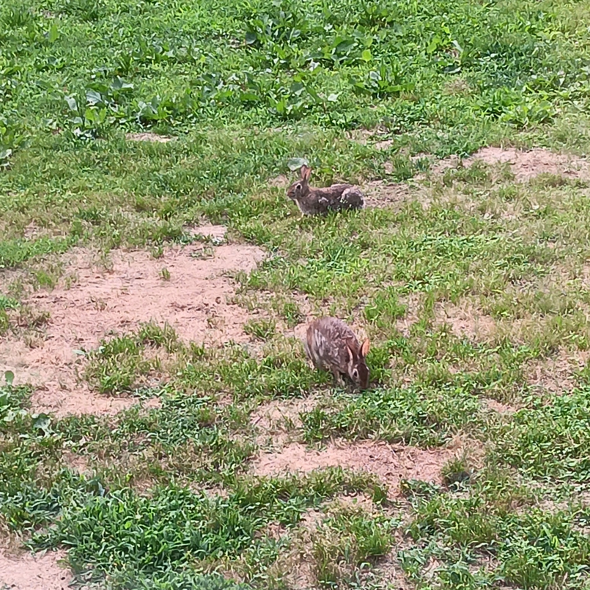 7111 Wink Parker Road Lyles, TN 37098 - Photo 47 of 47