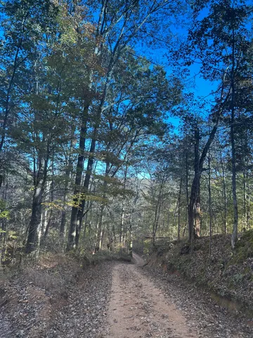 a kitchen with stainless steel appliances kitchen island granite countertop a refrigerator a stove a sink a dining table and chairs with wooden floor