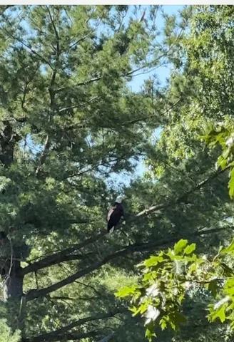 $1,250,000 | 5472 South Meridian Road, Jackson, MI 49201