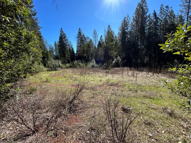 $65,000 | 35 Bamford Way, Forbestown, CA 95941