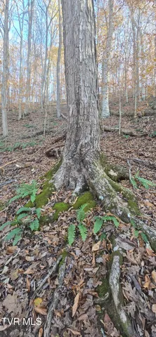 $332,750 | 2351 Line Road, Eidson, TN 37731