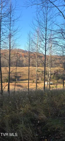 $332,750 | 2351 Line Road, Eidson, TN 37731