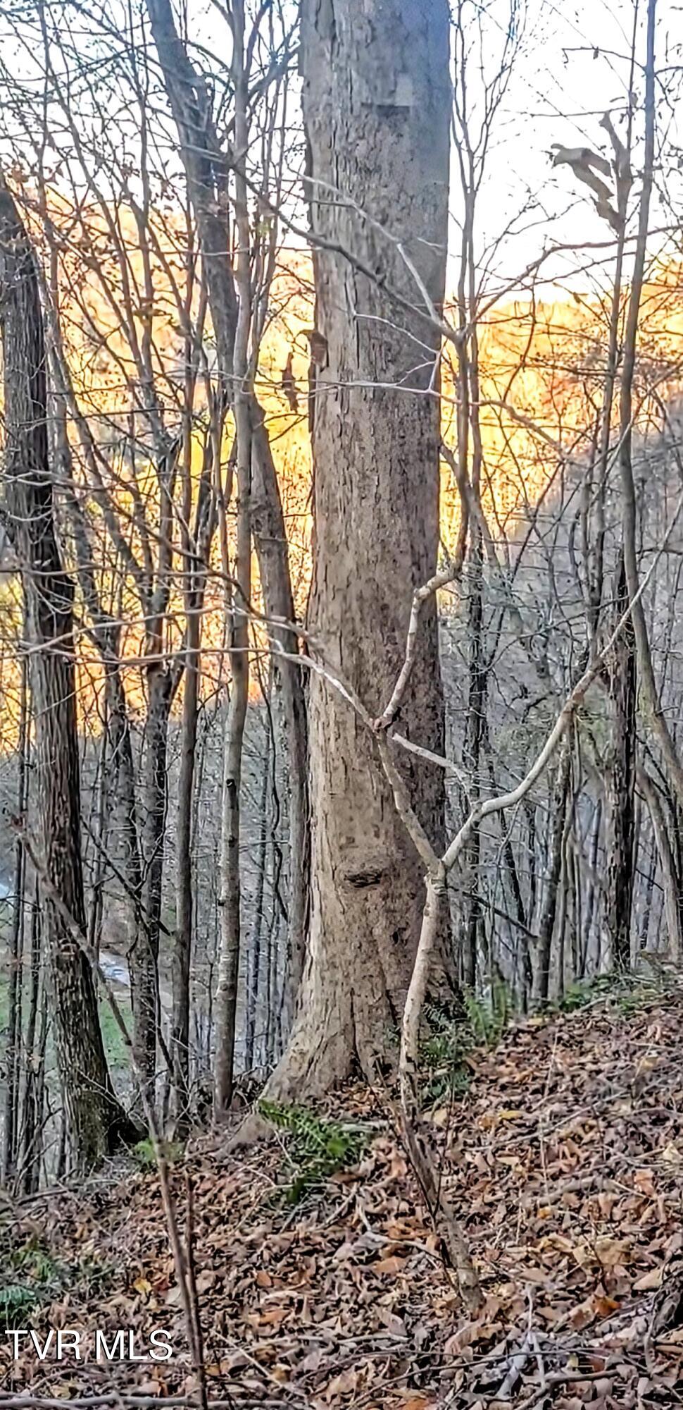 2351 Line Road Eidson, TN 37731 - Photo 12 of 21 Screenshot_20251113_105638_Photos~2