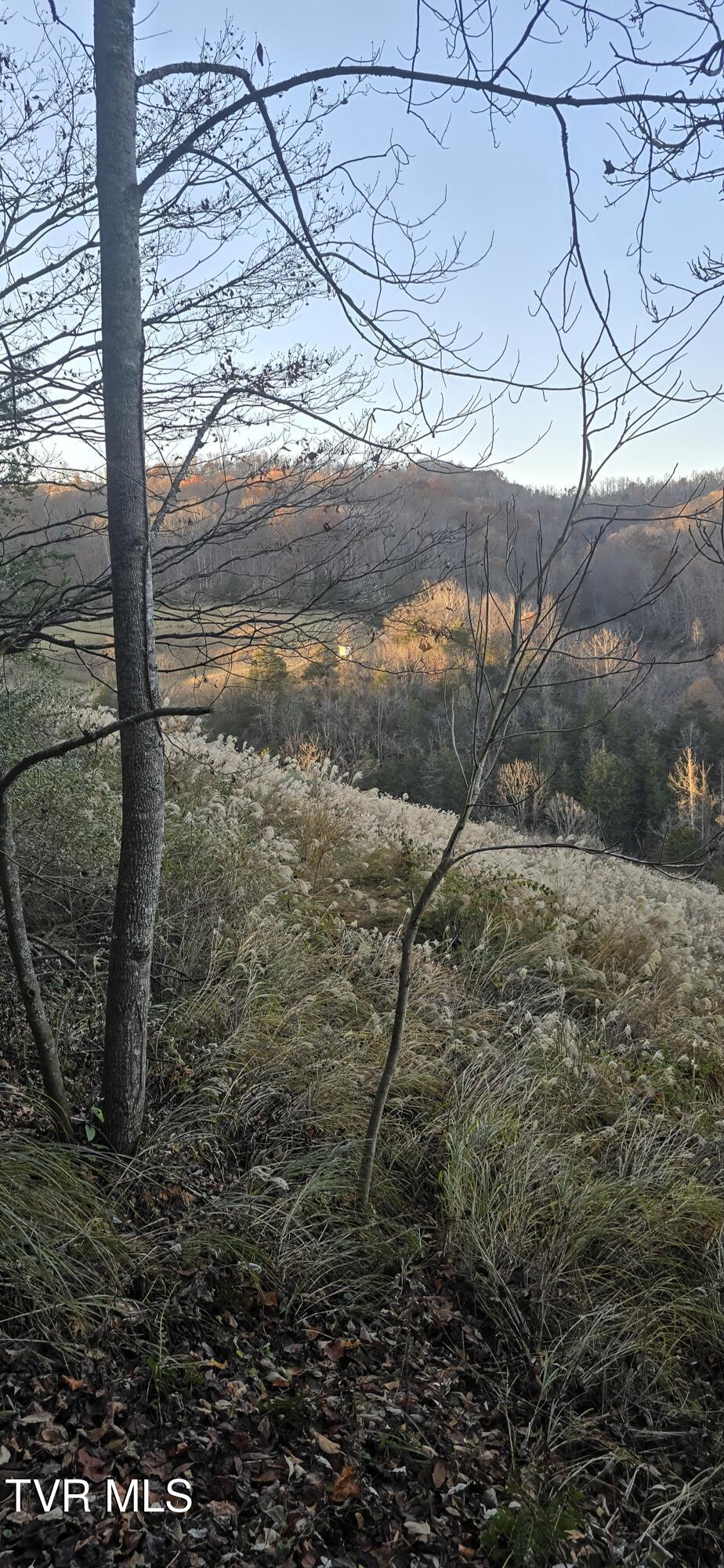 2351 Line Road Eidson, TN 37731 - Photo 13 of 21 20251112_165822~2