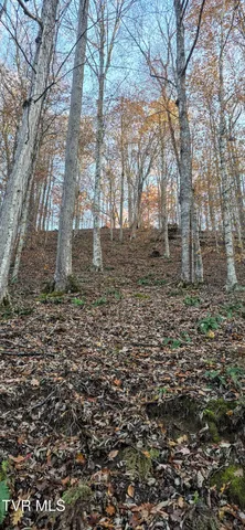 $332,750 | 2351 Line Road, Eidson, TN 37731