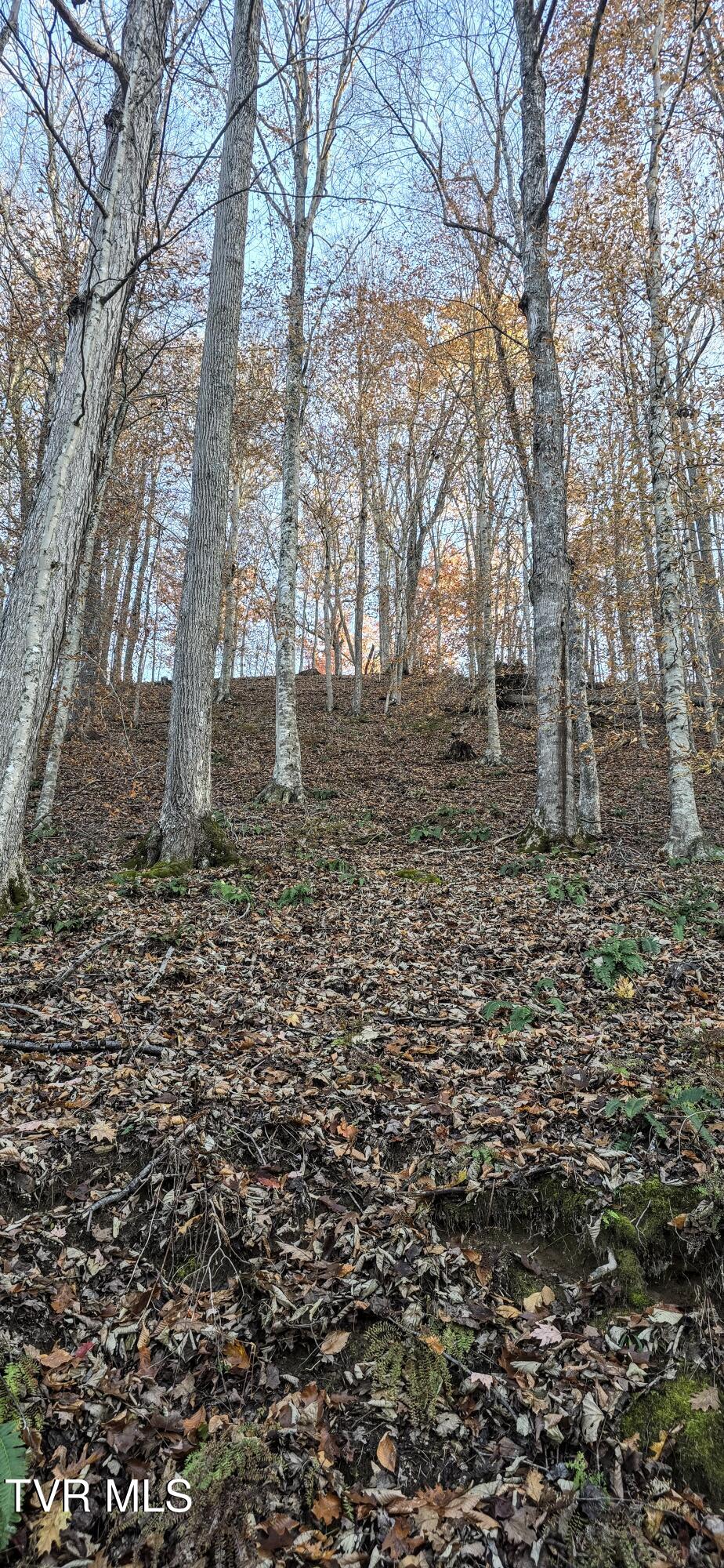 2351 Line Road Eidson, TN 37731 - Photo 14 of 21 20251112_164406~2