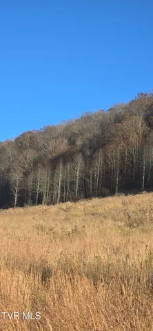 $332,750 | 2351 Line Road, Eidson, TN 37731