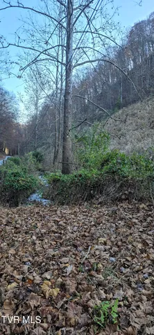 $332,750 | 2351 Line Road, Eidson, TN 37731