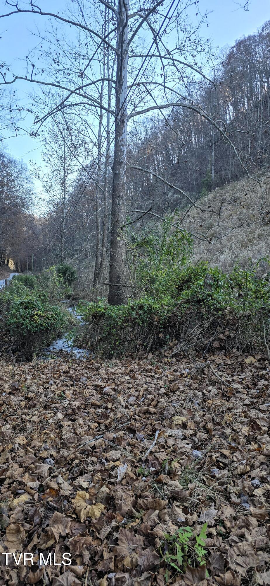 2351 Line Road Eidson, TN 37731 - Photo 17 of 21 20251112_152146~2