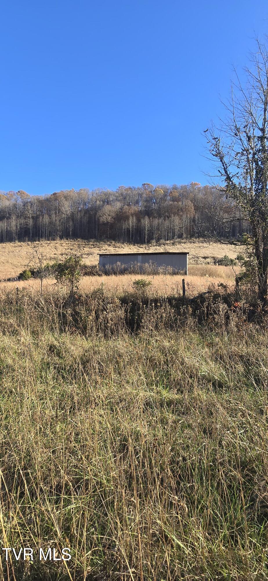 2351 Line Road Eidson, TN 37731 - Photo 2 of 21 20251112_154413~2