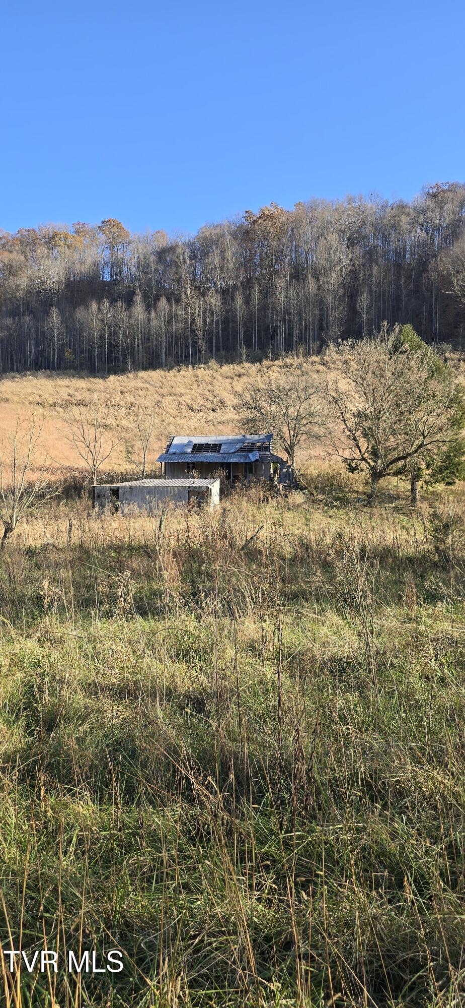 2351 Line Road Eidson, TN 37731 - Photo 4 of 21 20251112_154244~2