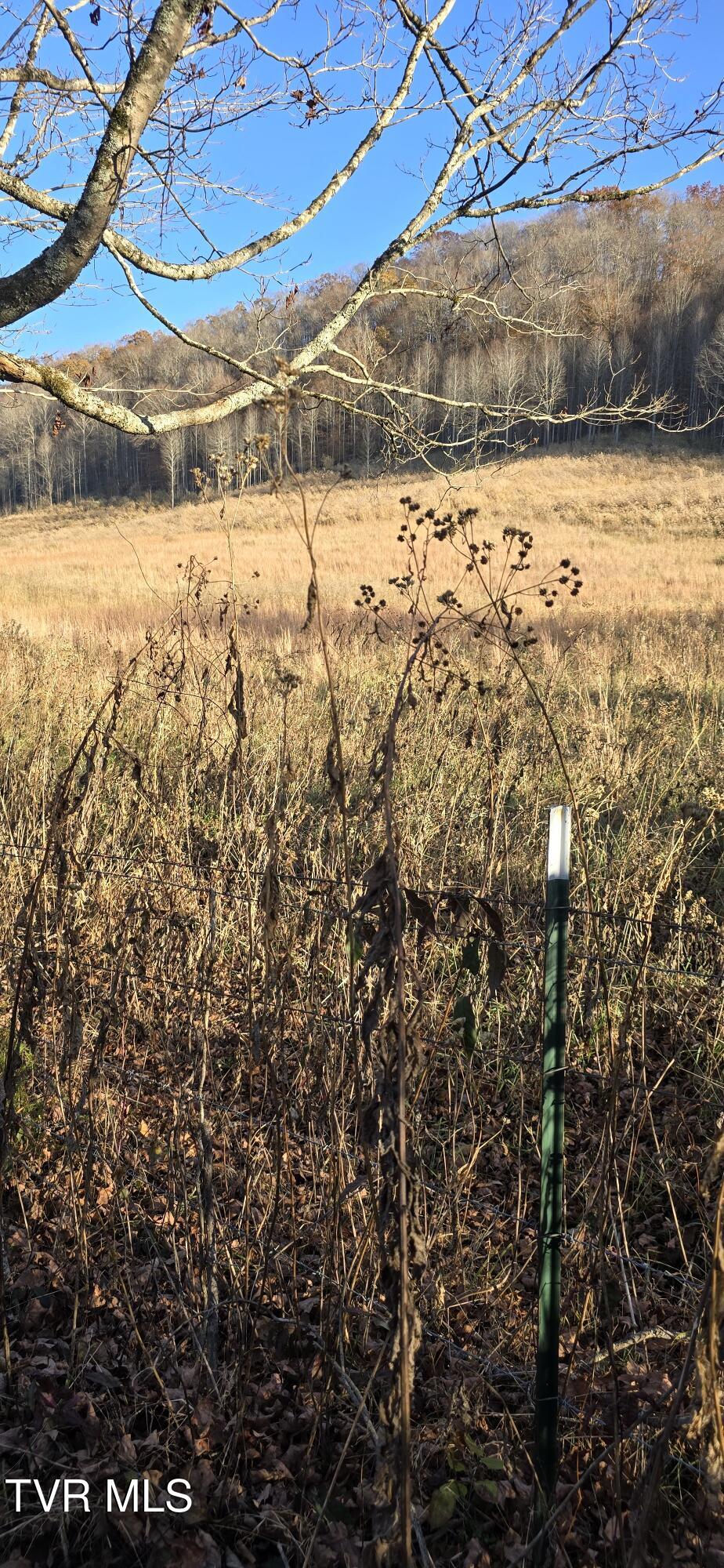 2351 Line Road Eidson, TN 37731 - Photo 5 of 21 20251112_155428~2