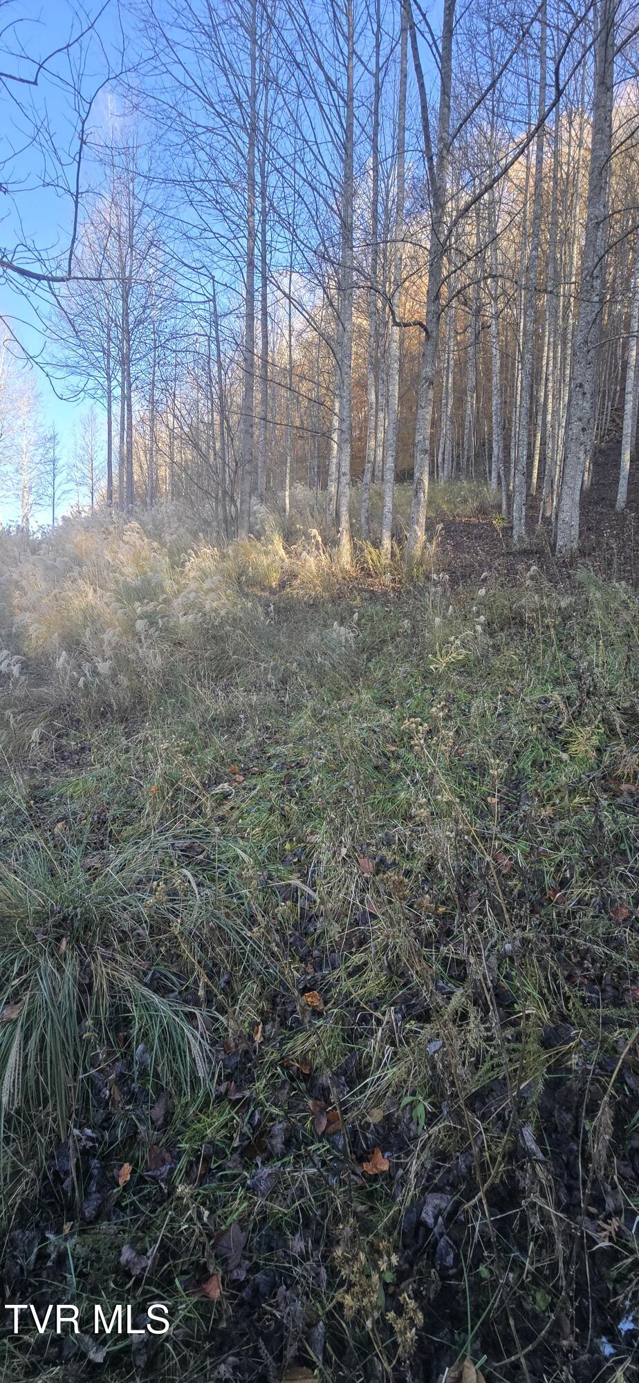 2351 Line Road Eidson, TN 37731 - Photo 7 of 21 20251112_160431~2