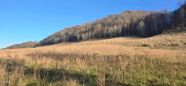 $332,750 | 2351 Line Road, Eidson, TN 37731