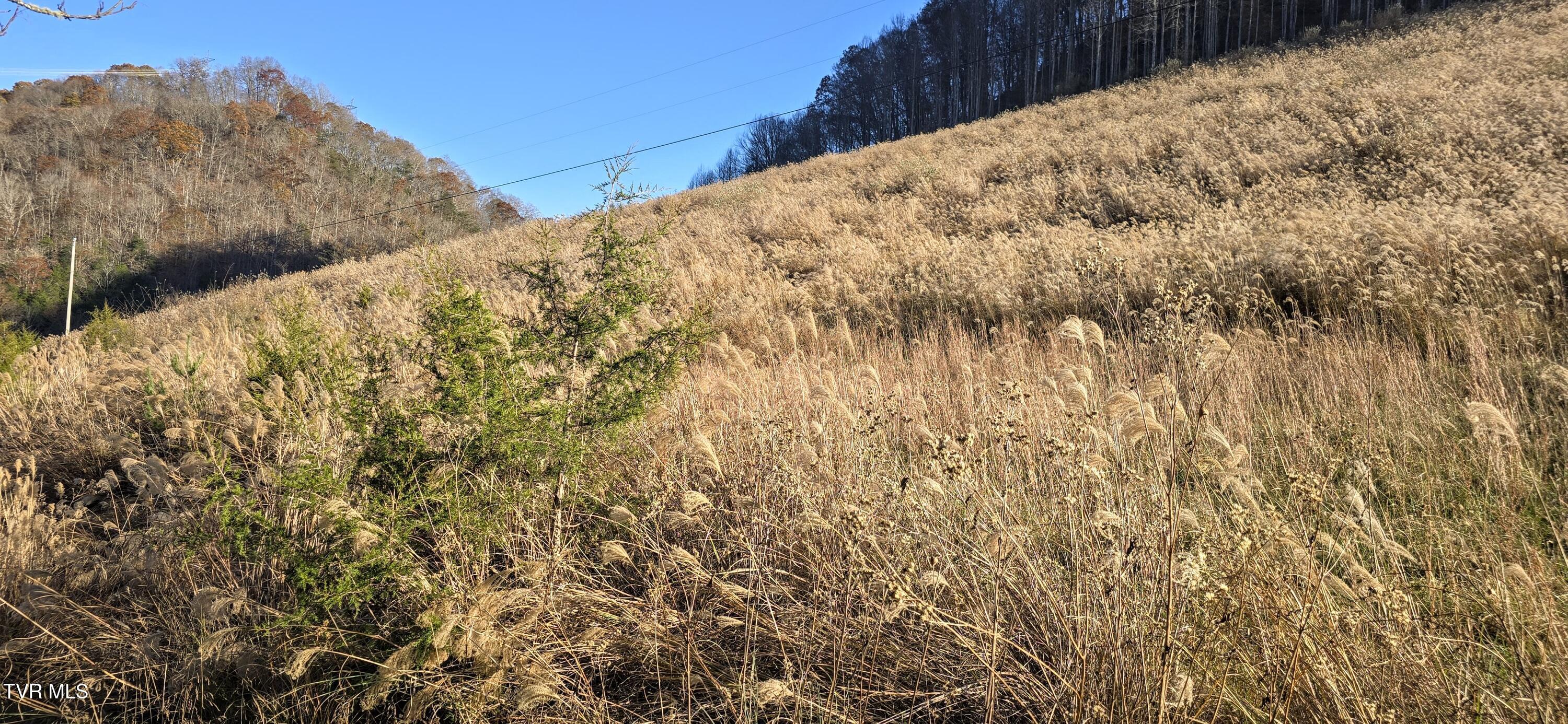 2351 Line Road Eidson, TN 37731 - Photo 9 of 21 20251112_153808~2