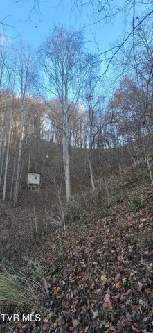 $332,750 | 2351 Line Road, Eidson, TN 37731