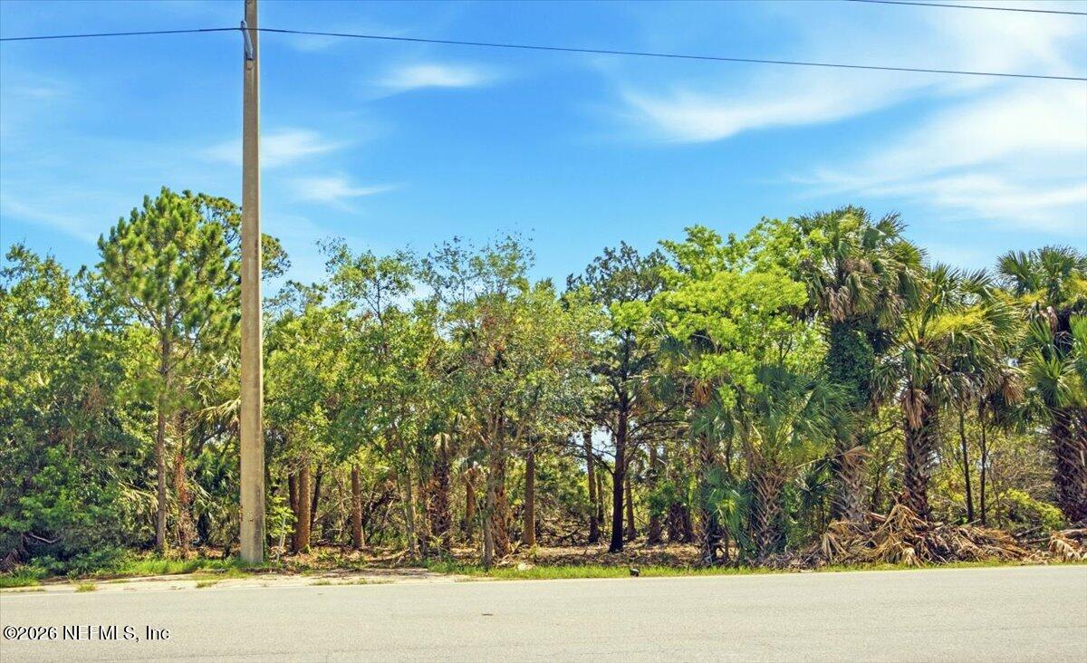 3258 Lewis Speedway St. Augustine, FL 32084 - Photo 1 of 10 a view of a yard