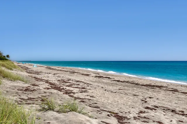 a view of a park with plants and trees