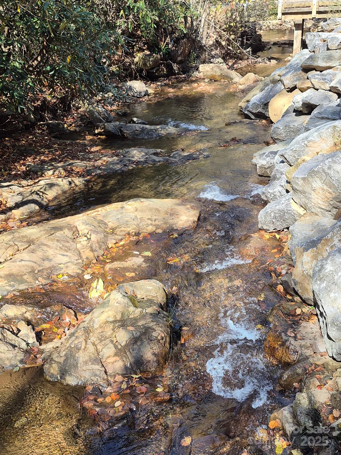 9 Smokey Cove Road Canton, NC 28716 - Photo 4 of 24