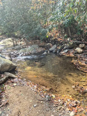 a view of outdoor space with yard