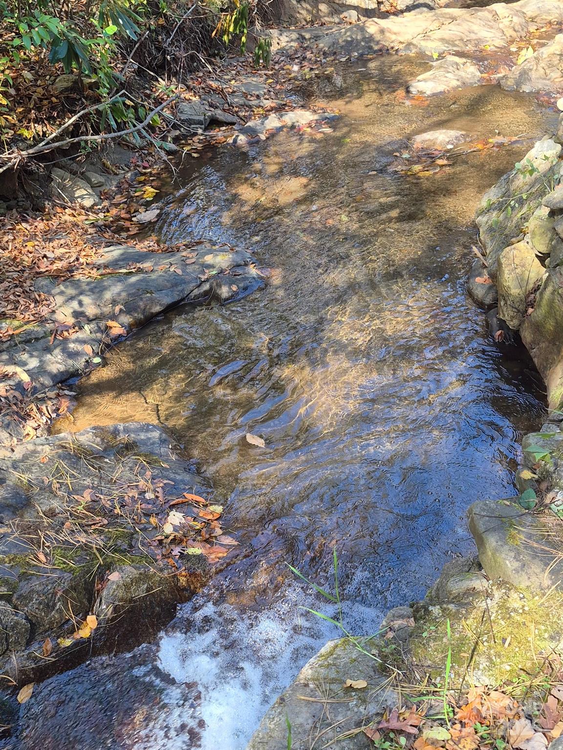 9 Smokey Cove Road Canton, NC 28716 - Photo 7 of 24