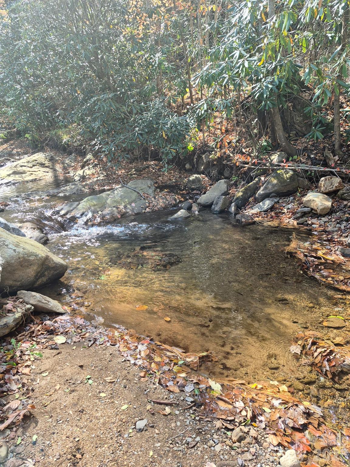 9 Smokey Cove Road Canton, NC 28716 - Photo 7 of 26 a view of a lake with beach