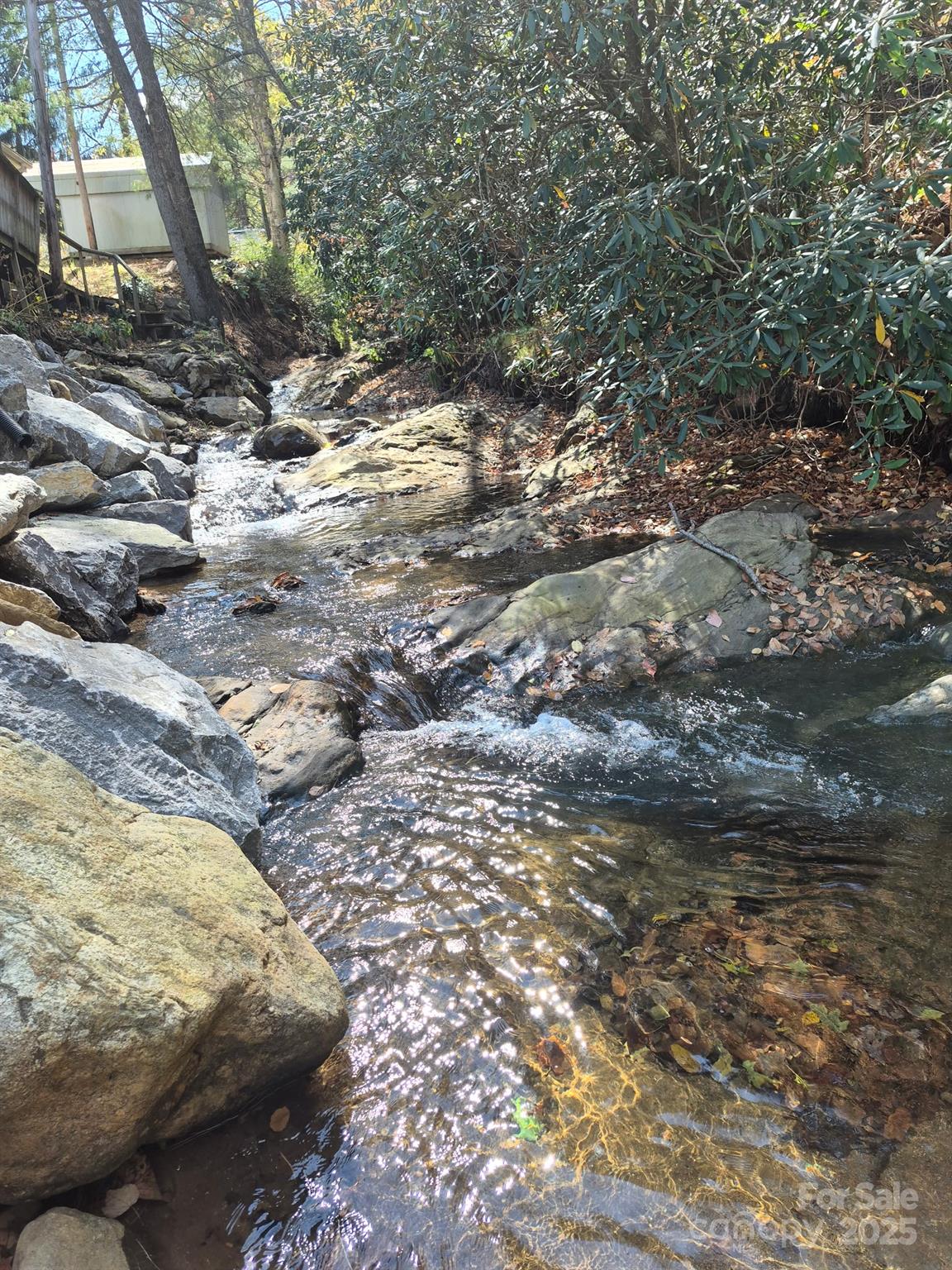9 Smokey Cove Road Canton, NC 28716 - Photo 8 of 24 a view of outdoor space with yard