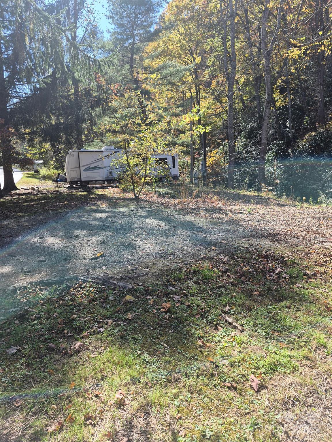 9 Smokey Cove Road Canton, NC 28716 - Photo 9 of 24 a view of a yard with plants and trees