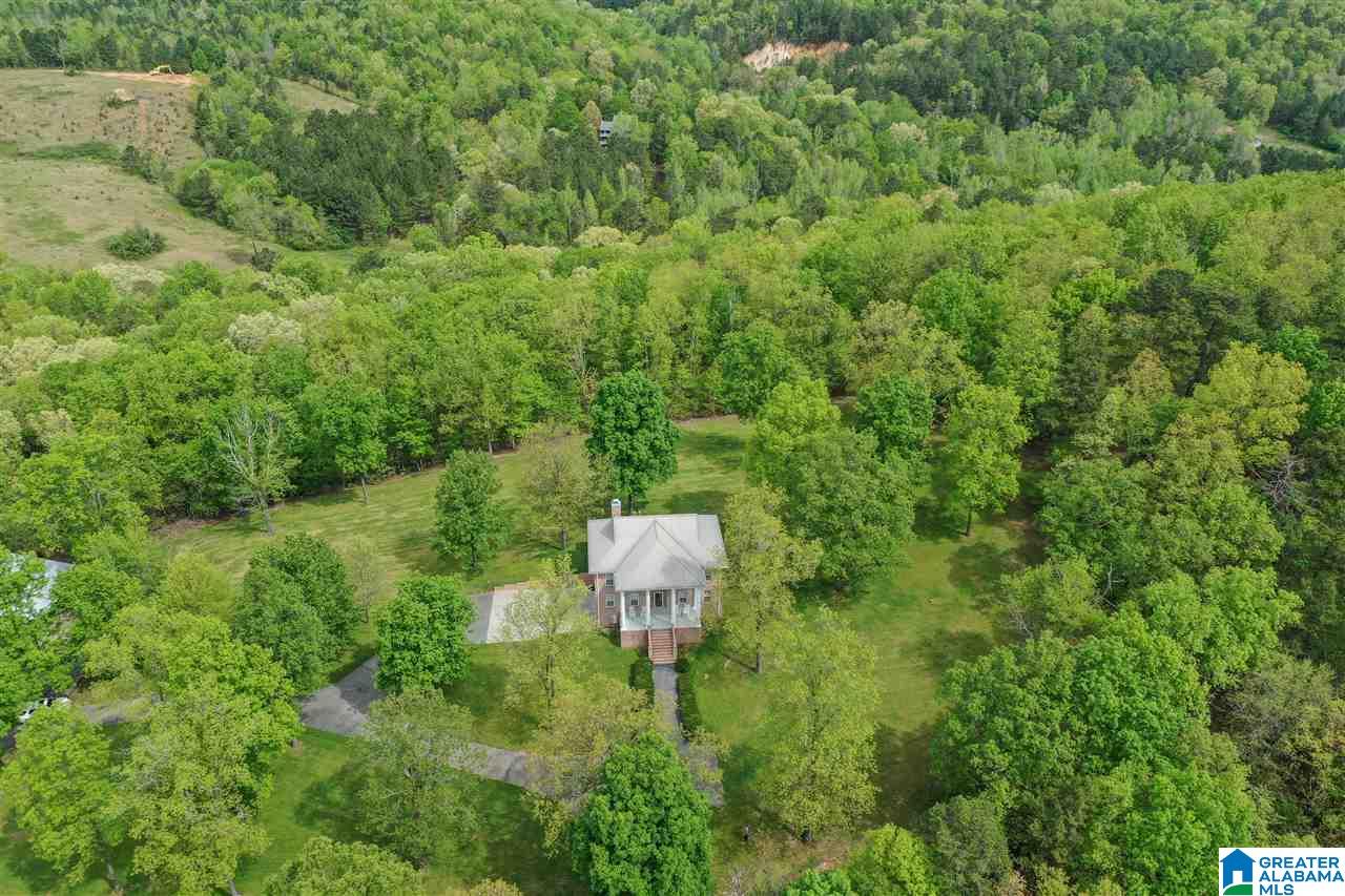 9235 Old Springville Road Trussville, AL 35173 - Photo 41 of 50