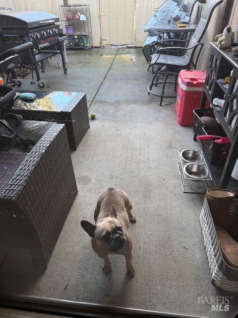 1916 Knolls Drive Santa Rosa, CA 95405 - Photo 3 of 15