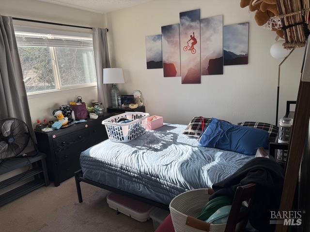 1916 Knolls Drive Santa Rosa, CA 95405 - Photo 6 of 15