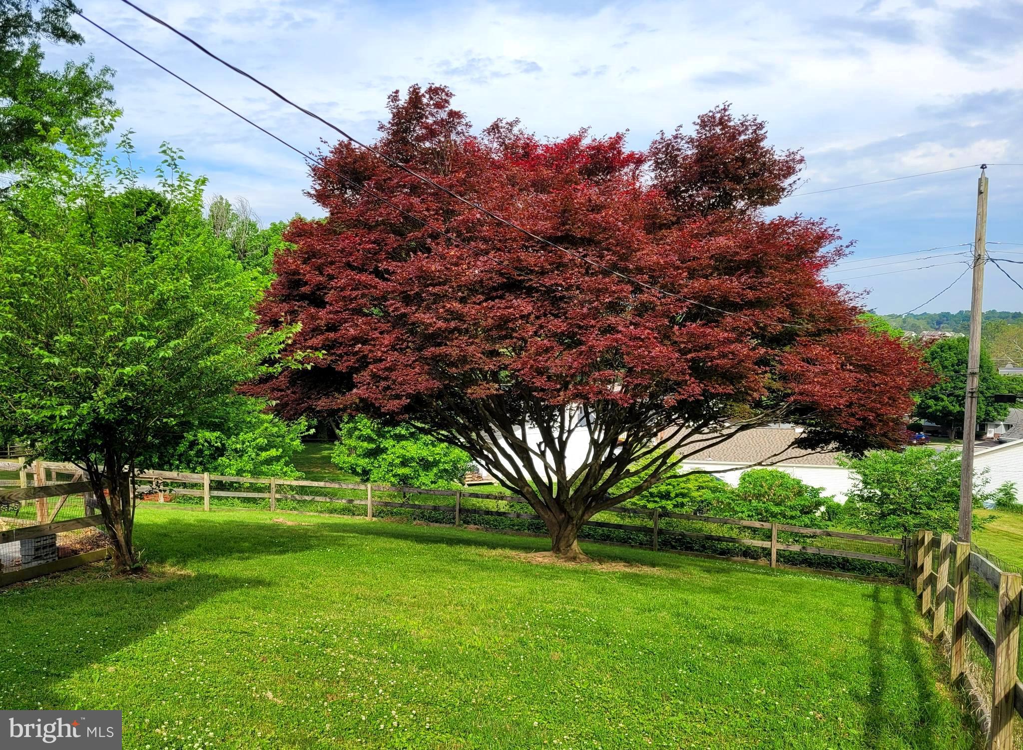 316 South Miller Street Shillington, PA 19607 - Photo 15 of 16 Back Yard