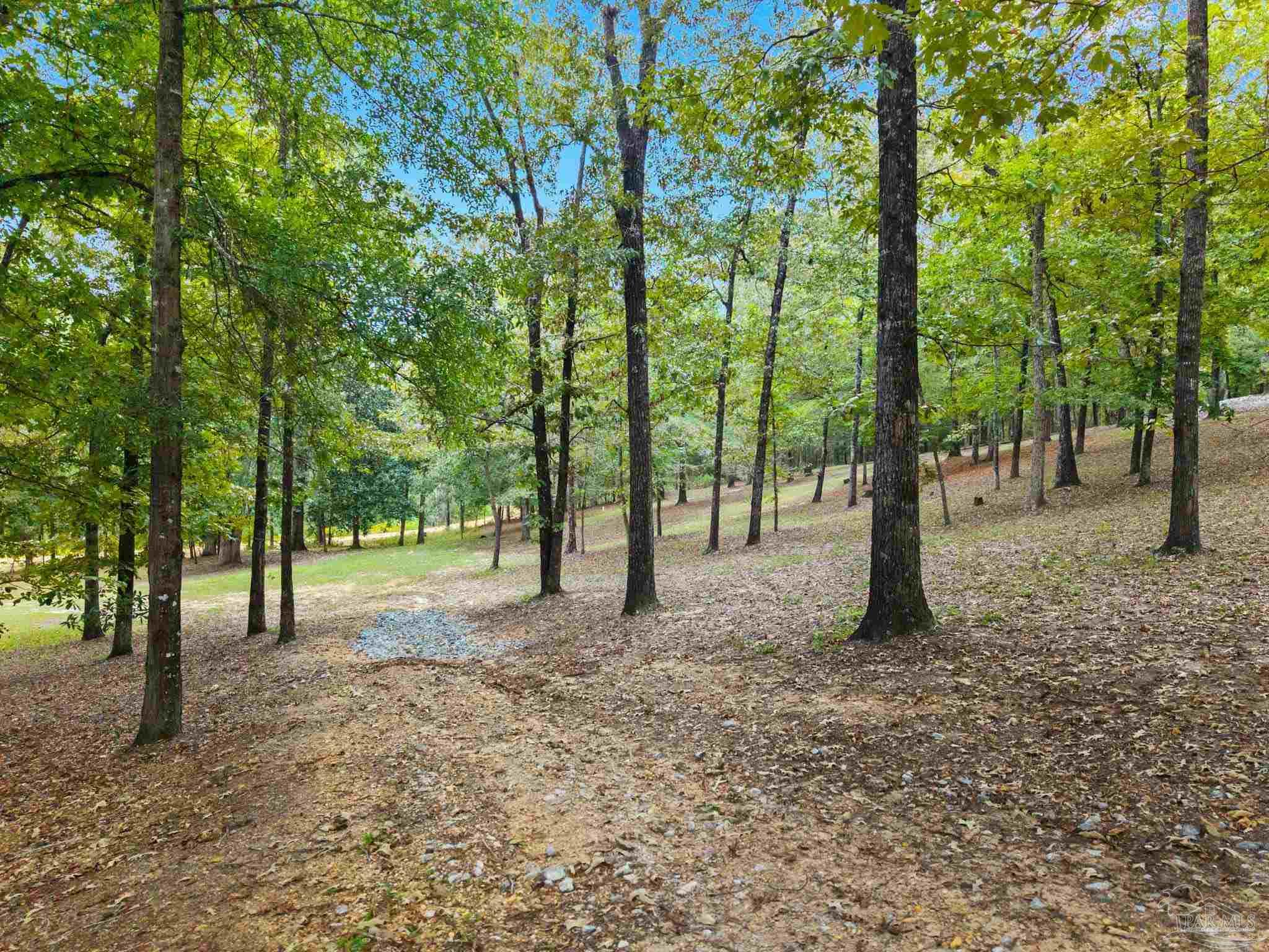 560 Veterans Avenue Monroeville, AL 36460 - Photo 65 of 72