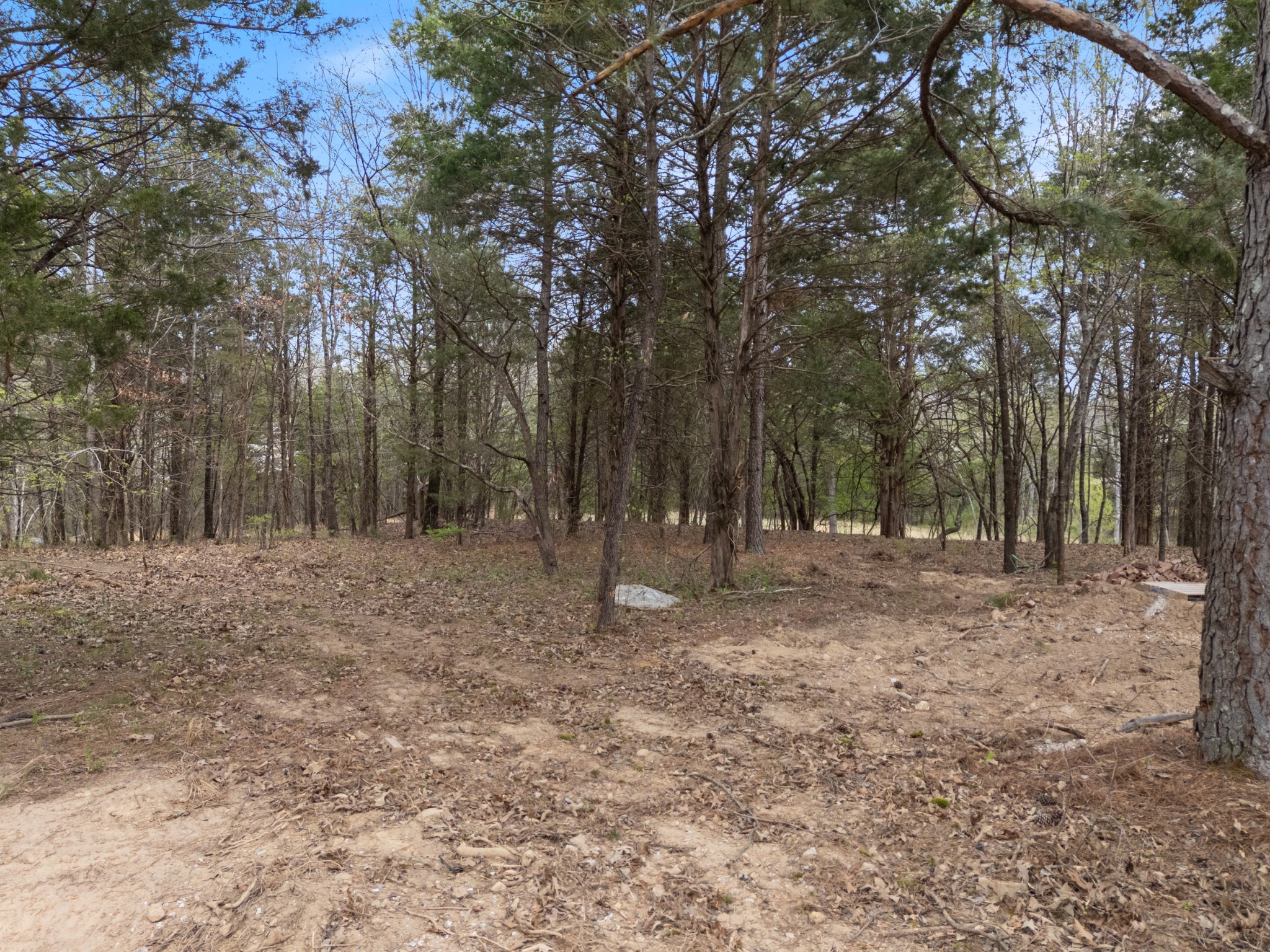 1049 Big Bartons Creek Road Dickson, TN 37055 - Photo 71 of 76