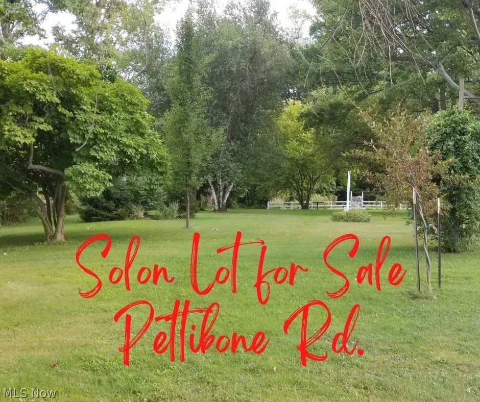 Pettibone Road Solon, OH 44139 - Photo 1 of 4 Gallery Image 1