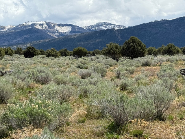 18 Old Highway 89, Unit 18 Spring City, UT 84662 - Photo 1 of 9
