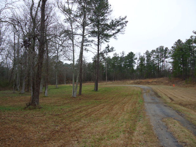 544 Dames Ferry Road, Unit 5 Forsyth, GA 31029 - Photo 1 of 1 a view of outdoor space with trees