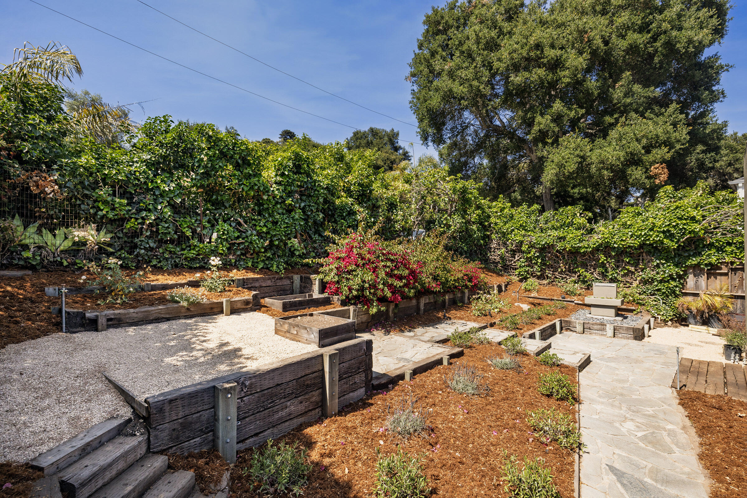 1330 West Valerio Street Santa Barbara, CA 93101 - Photo 24 of 31 Backyard