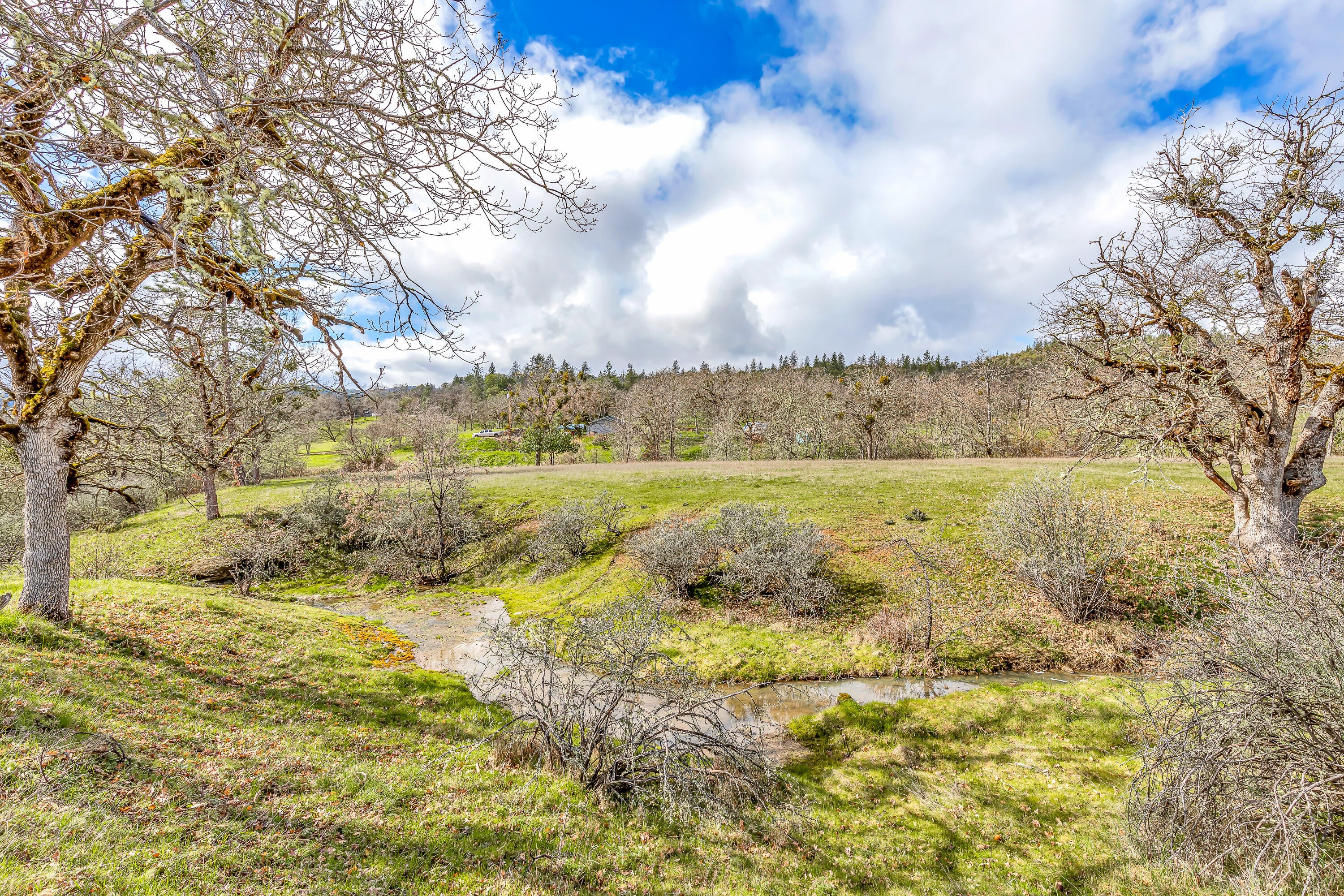 17200 Jones Road White City, OR 97503 - Photo 34 of 51 9R9A0057