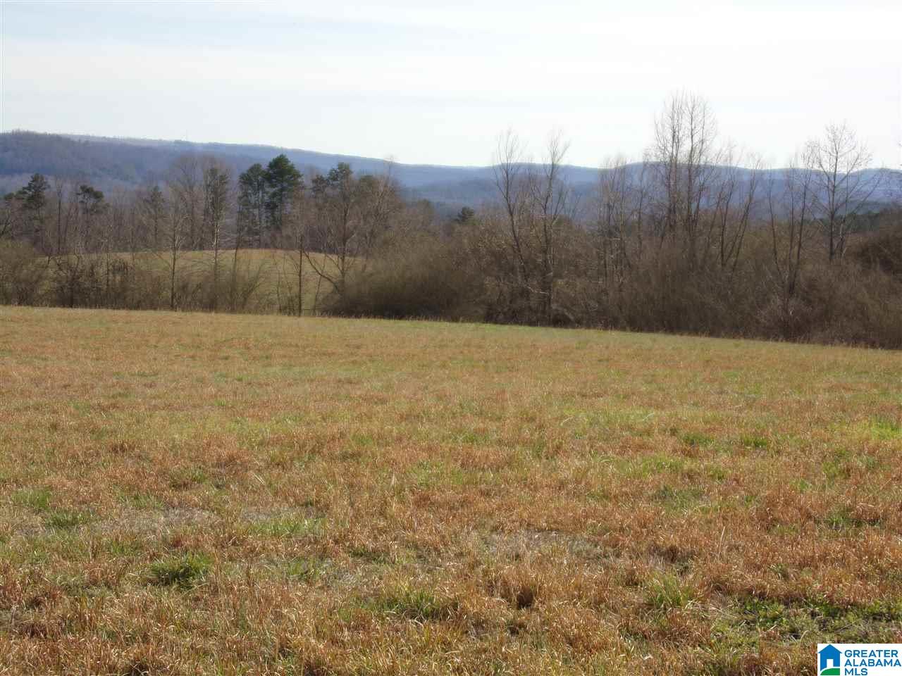 0 Posey Road, Unit TRACT 5 Blountsville, AL 35031 - Photo 1 of 2